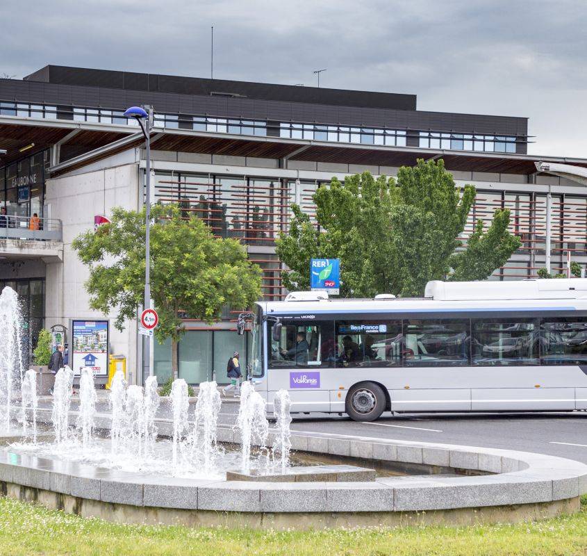 Bus