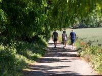Bois de Boissy