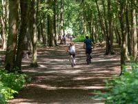 Bois de Boissy