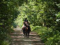 promenade à cheval