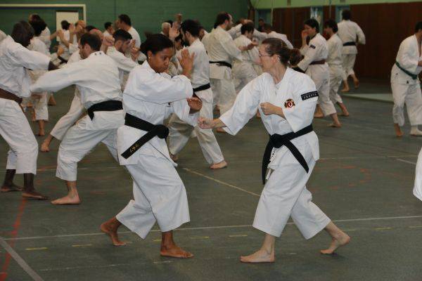 Stage Shorinji Kempo