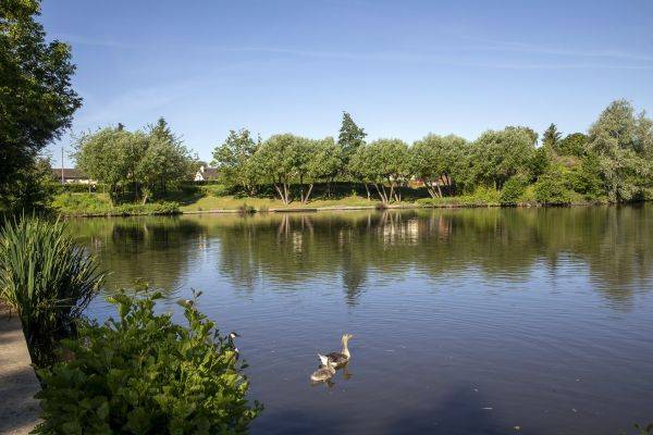 Bassin des Moulinets