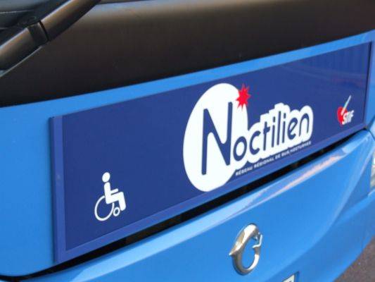 Noctilien