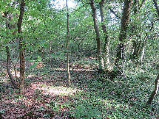 Travaux au Bois Barrachin