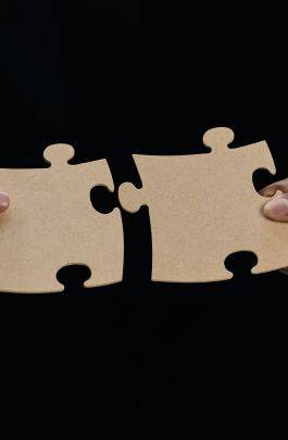 des professionnels rassemble les pièces d'un puzzle pour résoudre les problématiques liées aux majeurs protégés et collaborer