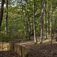 Bois Barrachin Beauchamp