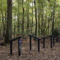 Bois Barrachin Beauchamp