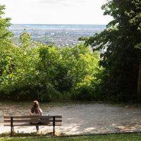 Parc Schlumberger