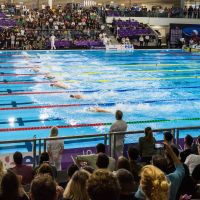 France natation 25m
