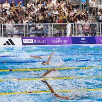 France natation 25m