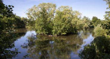 Bassin des moulinets Eaubonne