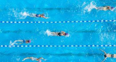 Natation