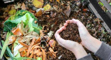compost