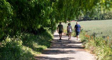 Bois de Boissy