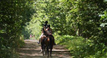 promenade à cheval