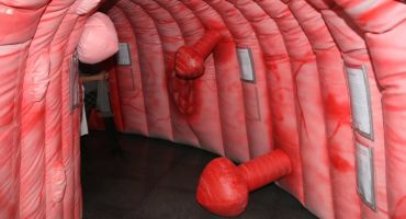 Colon