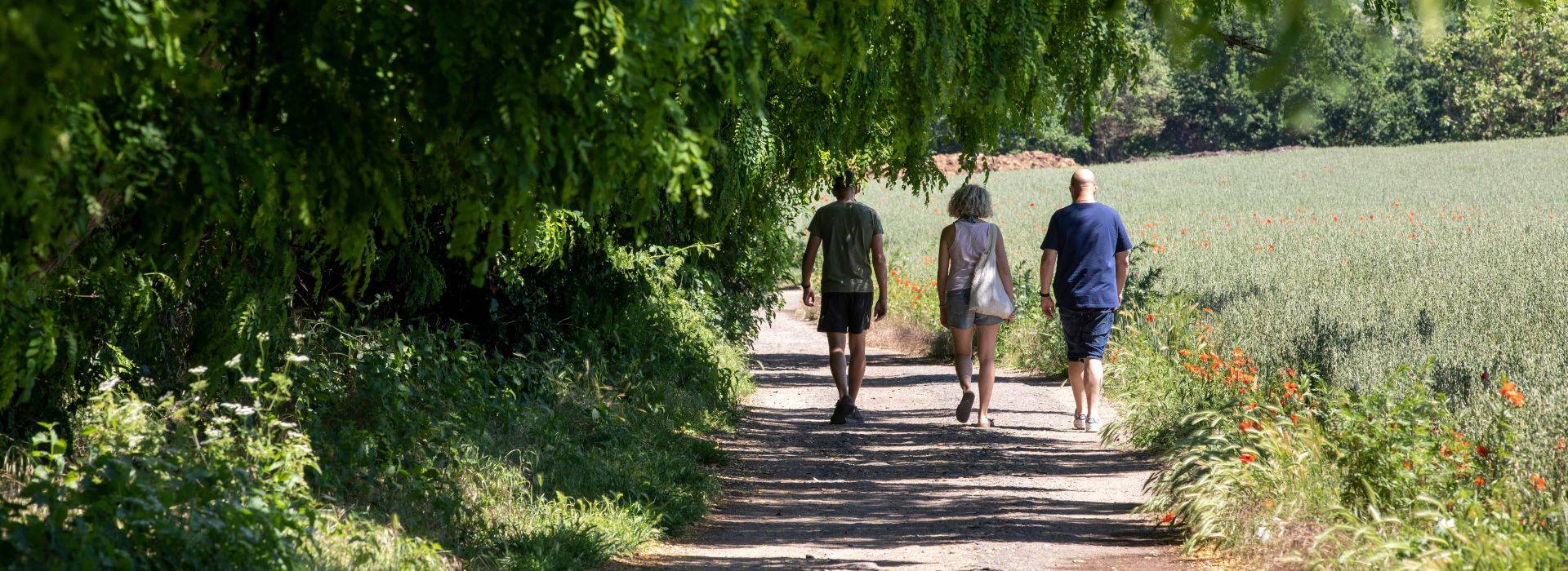Bois de Boissy
