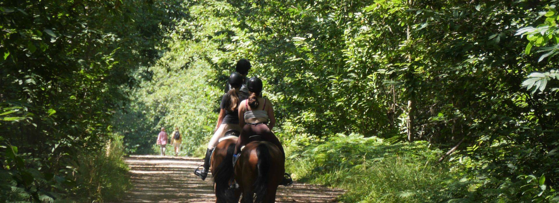promenade à cheval