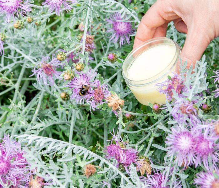 produits cosmétiques présenté devant des fleurs 