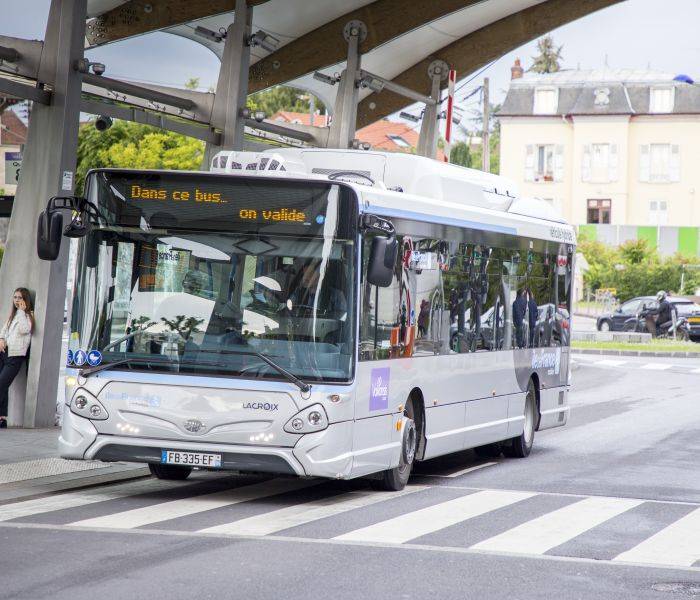 Bus