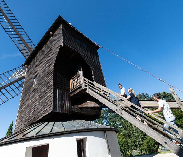 visite du moulin de Sannois