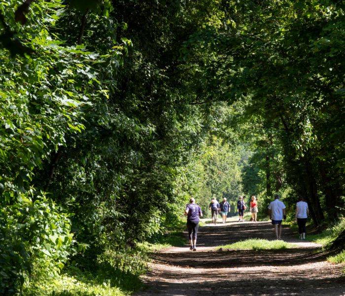 Bois de Boissy