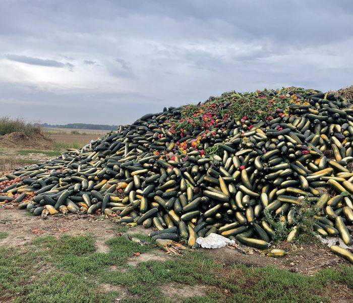 tas de légumes