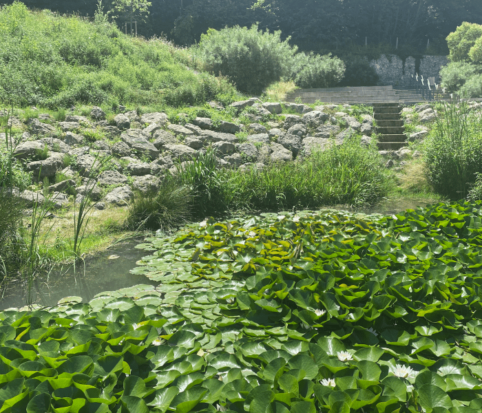 source à montigny
