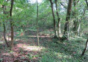 Travaux au Bois Barrachin