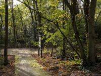 Bois Barrachin Beauchamp