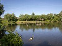 Bassin des Moulinets