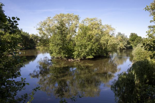 Bassin des moulinets Eaubonne