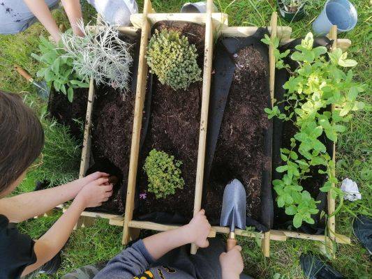 Atelier jardinage