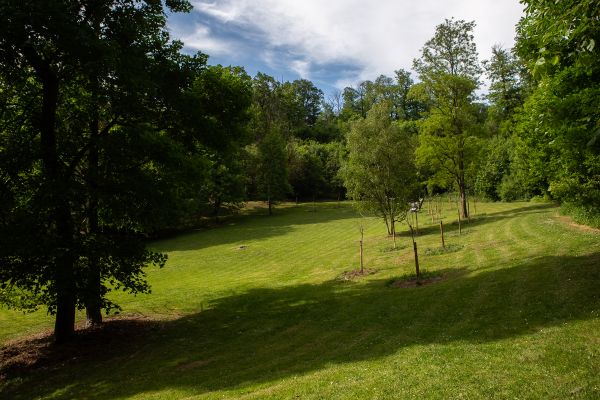 Parc Schlumberger