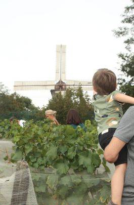 Visite de la vigne