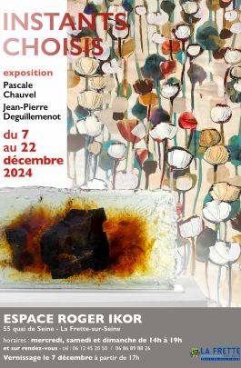 Expo Instants choisis 2024