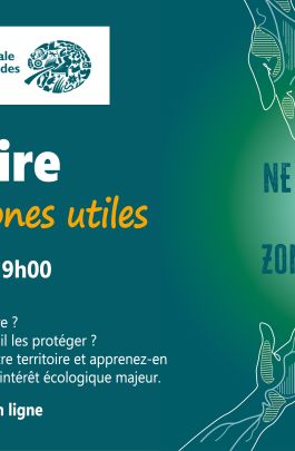 Webinaire « Zones humides, zones utiles »
