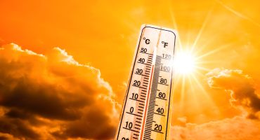 Canicule