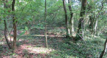 Travaux au Bois Barrachin